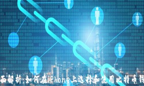 
全面解析：如何在iPhone上选择和使用比特币钱包