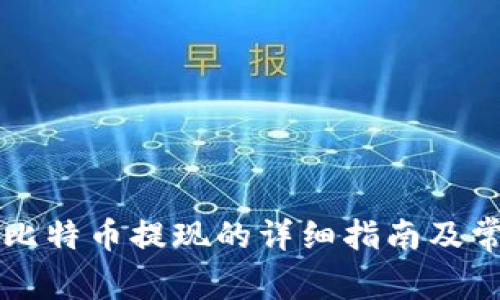 雷达钱包上比特币提现的详细指南及常见问题解答