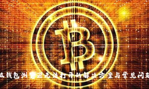 : 小狐钱包浏览器无法打开的解决方案与常见问题解答