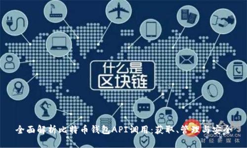 全面解析比特币钱包API调用：获取、管理与安全