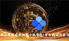 如何在应用程序中调用小