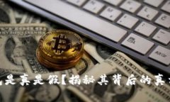 小狐钱包是真是假？揭秘