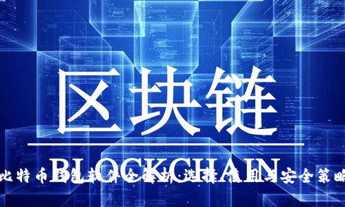 比特币钱包软件全解析：选择、使用与安全策略