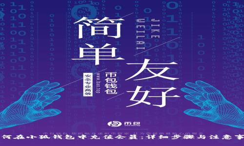 如何在小狐钱包中充值会员：详细步骤与注意事项
