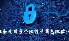如何管理和使用多个比特