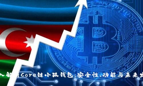深入解析Core链小狐钱包：安全性、功能与未来发展