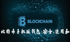 全面解析比特币手机版钱