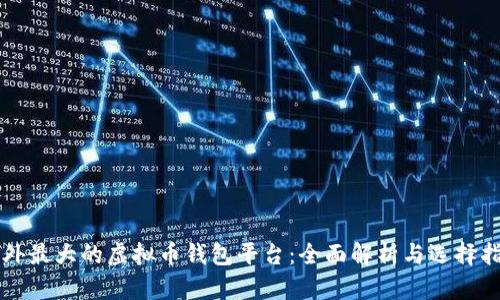 国外最大的虚拟币钱包平台：全面解析与选择指南