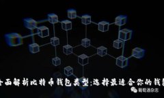 全面解析比特币钱包类型