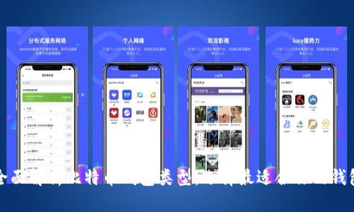 全面解析比特币钱包类型：选择最适合你的钱包