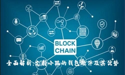 全面解析：支持小狐的钱包硬件及其优势