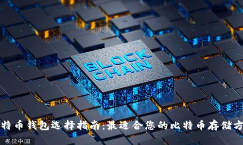 比特币钱包选择指南：最适合您的比特币存储方案