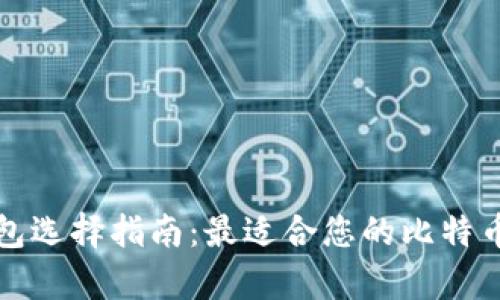 比特币钱包选择指南：最适合您的比特币存储方案