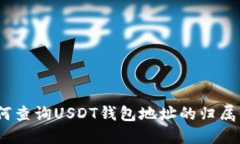 : 如何查询USDT钱包地址的