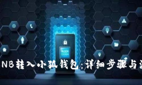如何将BNB转入小狐钱包：详细步骤与注意事项