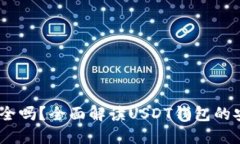 USDT数字钱包安全吗？全面