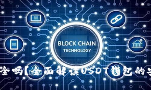USDT数字钱包安全吗？全面解读USDT钱包的安全性与选择指南