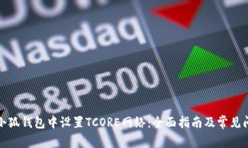 如何在小狐钱包中设置TCORE网络：全面指南及常见问题解答