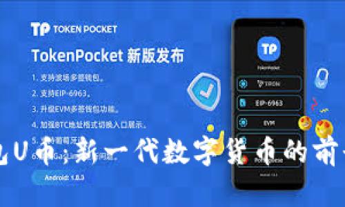 小狐钱包U币：新一代数字货币的前景与应用