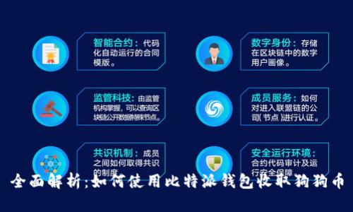 全面解析：如何使用比特派钱包收取狗狗币