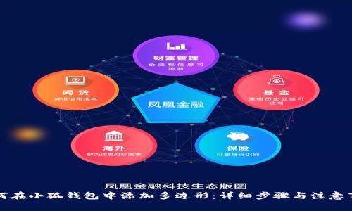 如何在小狐钱包中添加多边形：详细步骤与注意事项