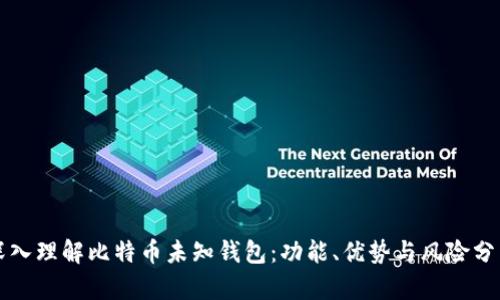 深入理解比特币未知钱包：功能、优势与风险分析