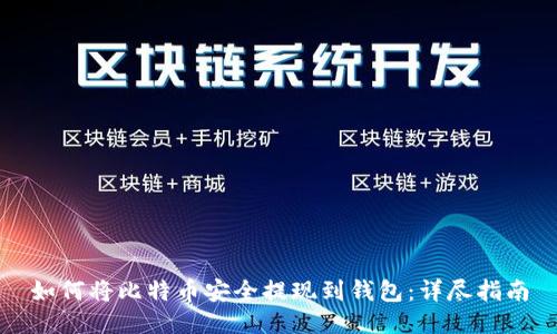 如何将比特币安全提现到钱包：详尽指南