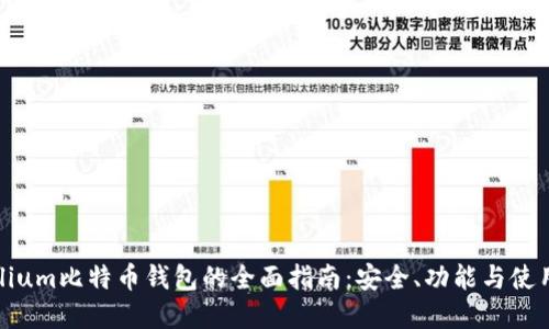 Mycelium比特币钱包的全面指南：安全、功能与使用技巧
