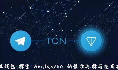 
小狐钱包：探索 Avalanche 的最佳选择与使用指南