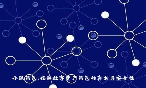 小狐钱包：揭秘数字资产钱包的真相与安全性