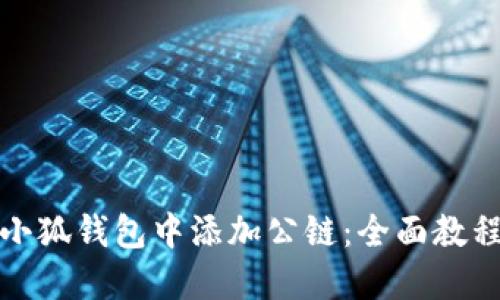 如何在小狐钱包中添加公链：全面教程与技巧