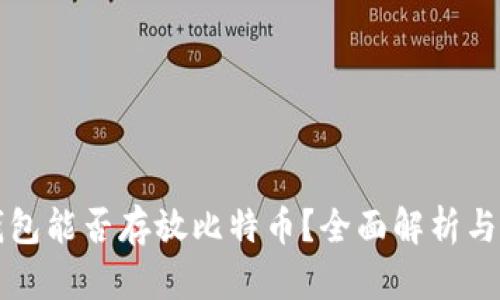 狗狗币钱包能否存放比特币？全面解析与实用指南