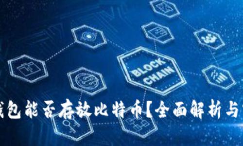 狗狗币钱包能否存放比特币？全面解析与实用指南