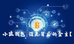 小狐钱包：谁是背后的金