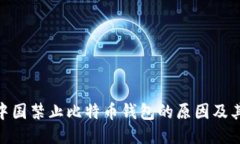 探讨中国禁止比特币钱包