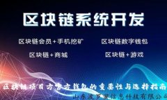 区块链项目方官方钱包的