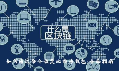 如何通过命令恢复比特币钱包：全面指南