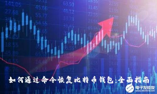 如何通过命令恢复比特币钱包：全面指南