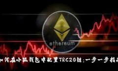如何在小狐钱包中配置T
