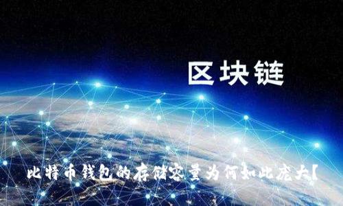 比特币钱包的存储容量为何如此庞大？
