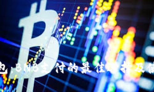 小狐钱包：BNB支付的最佳选择及使用教程