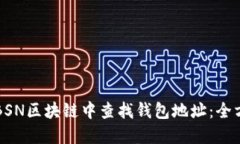 如何在BSN区块链中查找钱