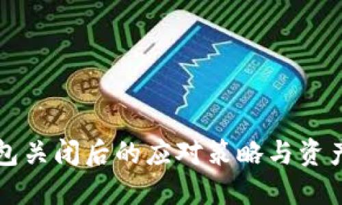 比特币钱包关闭后的应对策略与资产保护指南