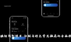 区块链钱包项目：识别与