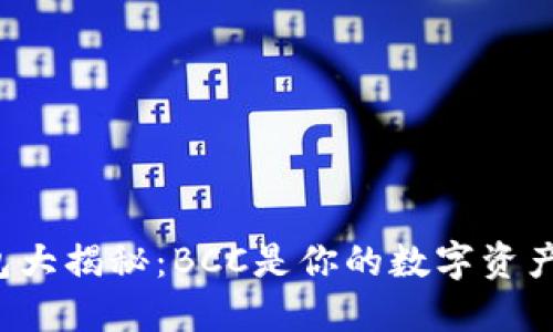 比特币钱包大揭秘：BCC是你的数字资产保护神吗？