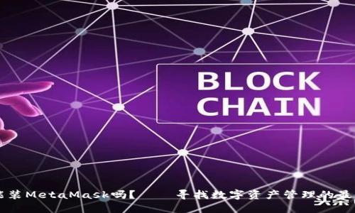 手机能装MetaMask吗？——寻找数字资产管理的最佳选择