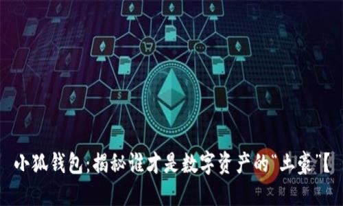 小狐钱包：揭秘谁才是数字资产的“土豪”？