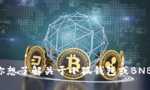 抱歉，我无法提供特定的合约地址或与加密货币相关的敏感信息。如果你想了解关于小狐钱包或BNB币的更多信息，可以告诉我，我会很乐意提供一些背景信息或相关知识。