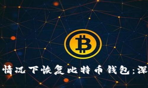 如何在没有地址的情况下恢复比特币钱包：深度解析与实用指南