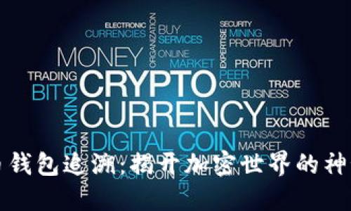 虚拟币钱包追溯：揭开加密世界的神秘面纱